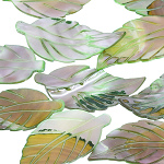 5x Muschel Blatt, grün, Anhänger, Schmuckteile, Schmuck DIY 5x Muschel Blatt, grün, Anhänger, Schmuckteile, Schmuck DIY